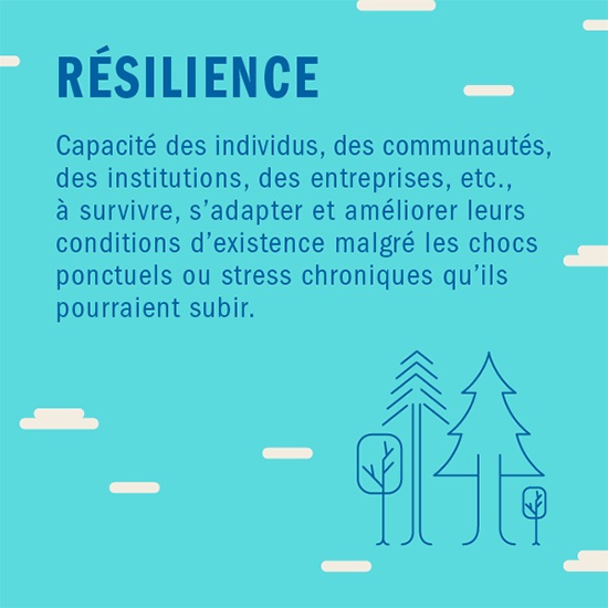 Face A L Effondrement Comment Investir Dans Sa Capacite De Resilience